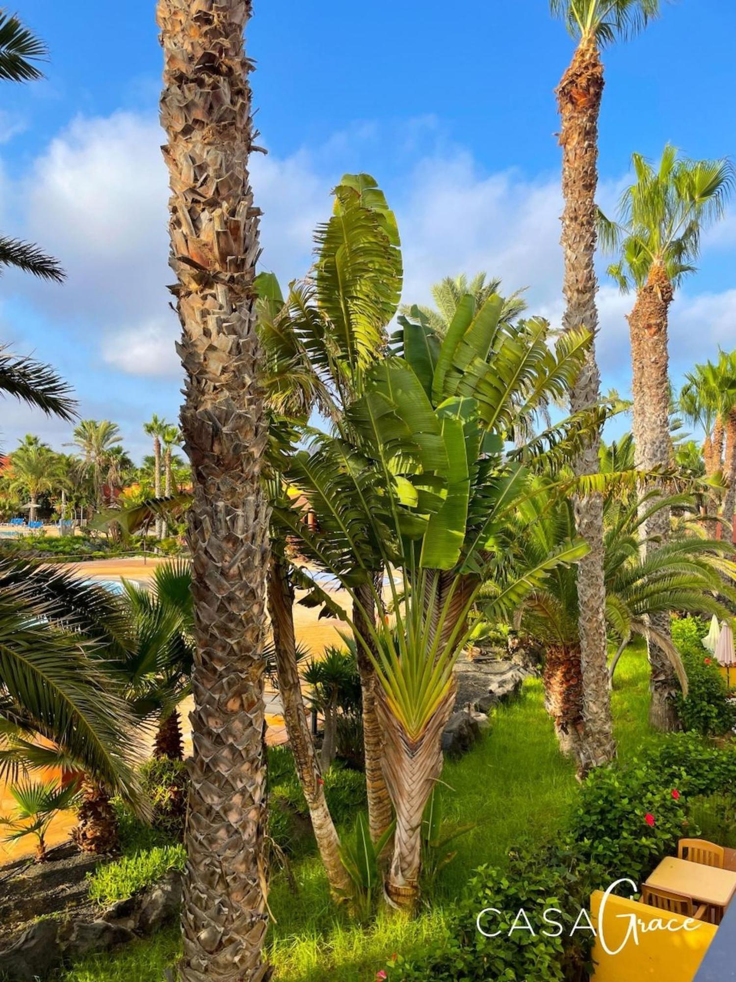 Tamarindo 1 Casa Grace Wifi Free Pool View By Rentalfue Corralejo Luaran gambar
